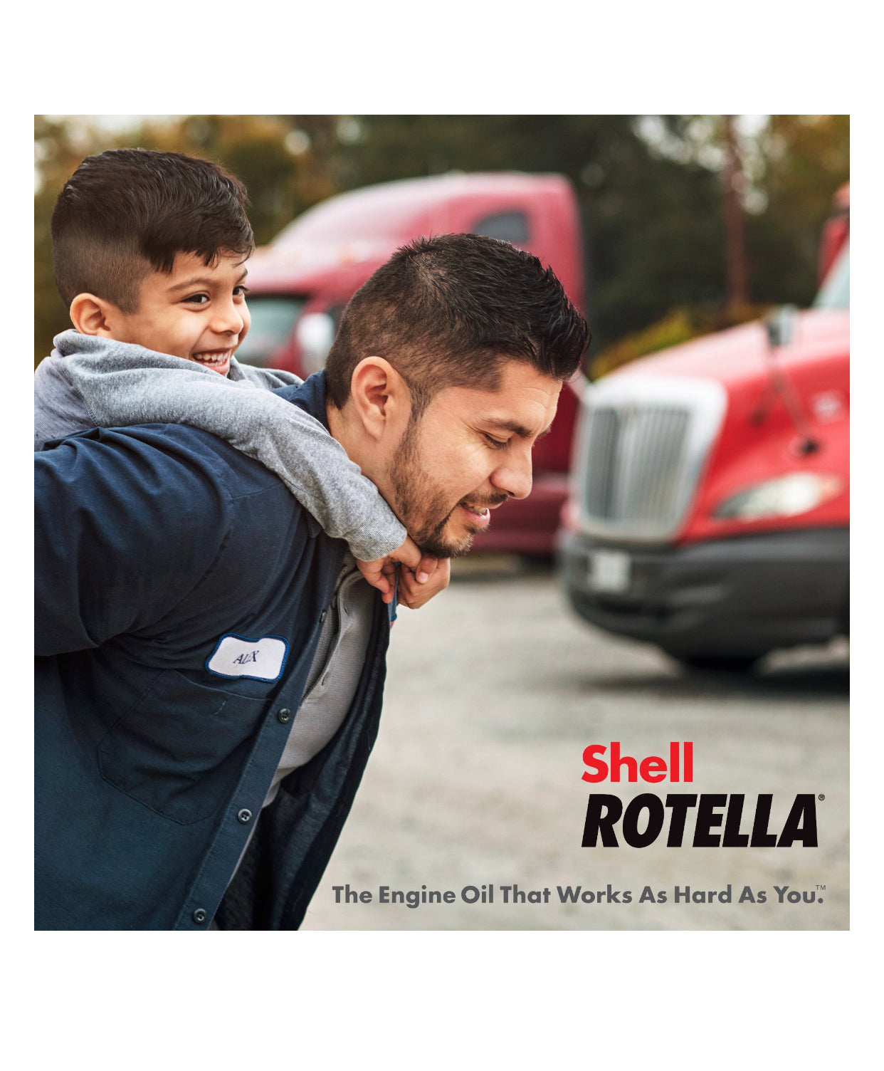 SHELL ROTELLA T6 MULTI-VEHICLE FULL SYNTHETIC SAE 5W-30 1GAL (3 pack)